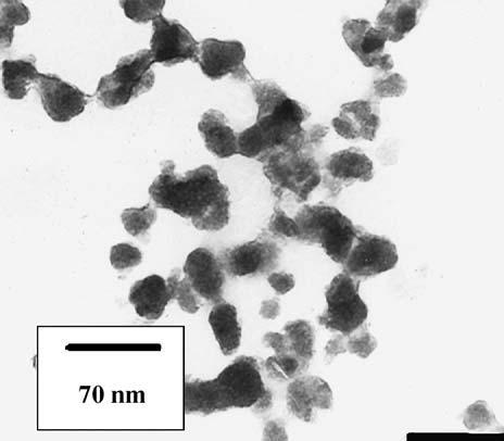 TEM micrographs of ZnS nanoparticles using (a) Span 80 and (b) Span 20. to water molecules and hydrogen bonded hydroxyl groups respectively [14,15].