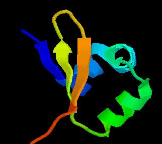 Fold Example: Lamda repressor DNA Binding
