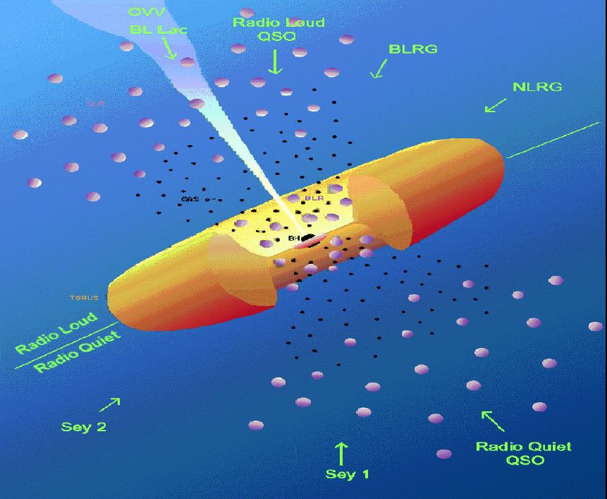 disk; radio emitting; 10% of AGN have jets VHE γ-rays produced in jets!