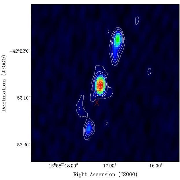 A Stellar maternity: Molecular cloud
