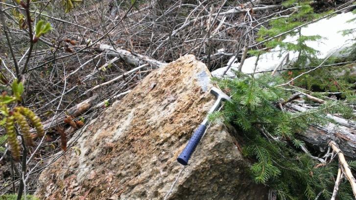 A total of 17 rock grab samples were collected from the ultramafic outcrop with