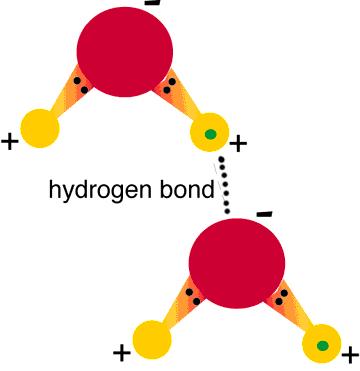 Remember, electrons have a negative charge. So when oxygen hogs the electrons it gets a slight negative charge.