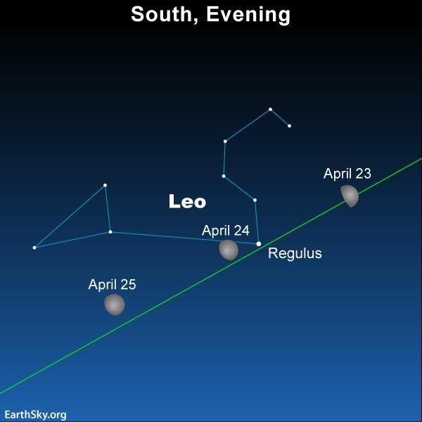 The waxing New Moon is about 6 to the left of Venus on April 17 and passing to the lower left of the Pleiades on April 24.