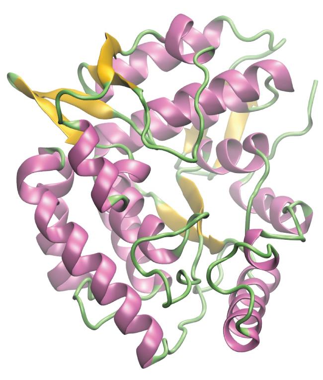 OpenStax-CNX module: m51194 9 Figure 5: A computer rendering shows the three-dimensional structure of the enzyme phenylalanine hydroxylase.