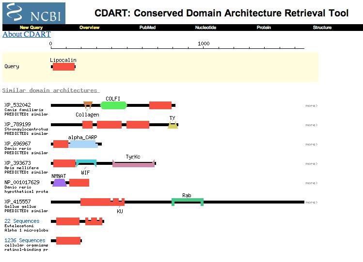 CDART (from NCBI)