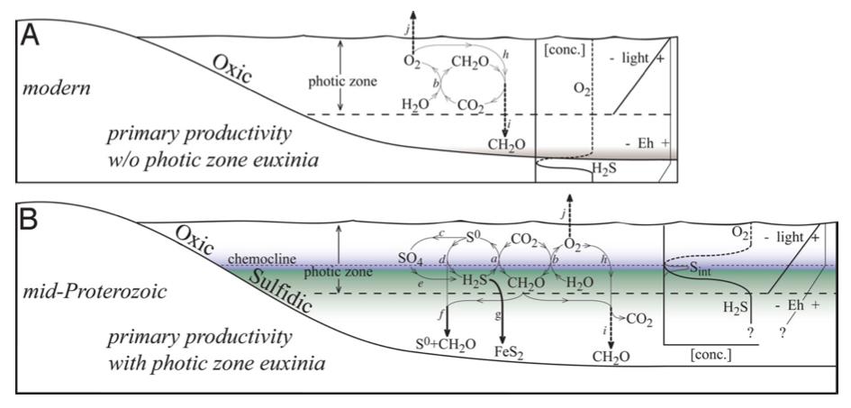 Anoxygenic photosynthesis modulating