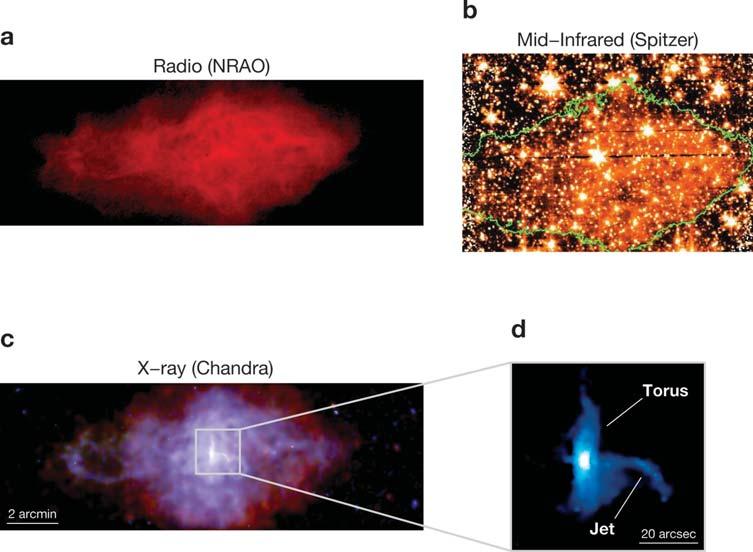 Figure 5 Images of the pulsar wind nebula 3C 58 (G130.7+3.1). (a) Radio synchrotron emission from the confined wind, with filamentary structure (Reynolds & Aller 1988).