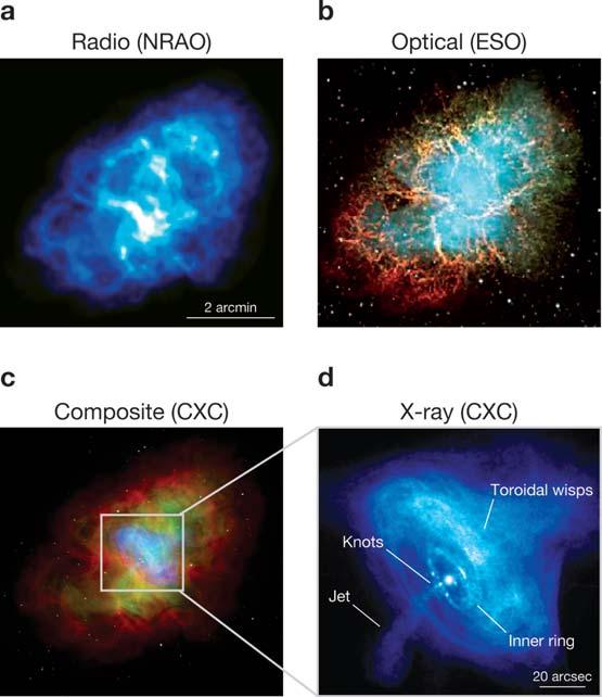 SN(e): supernova(e) 1. INTRODUCTION The Crab Nebula (Figure 1) is almost certainly associated with a supernova explosion observed in 1054 CE (Stephenson & Green 2002, and references therein).