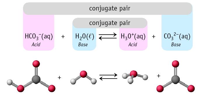 Strong acids and bases react only in the forward direction but, weak acids and bases react in both the forward and reverse direction. i.e. acetic acid Conjugate Acids and Bases: rom the Latin word conjugare, meaning to join together.