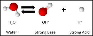 DISSOCIATION OF WATER Water has the ability to split into an H + ion and an OH - ions.