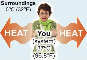Section 3.2 Heat and Thermal Energy Thermodynamics and systems Heat flows from hot to cold (2nd law) Choosing a system Imagine standing outside on a cold winter day without a coat.