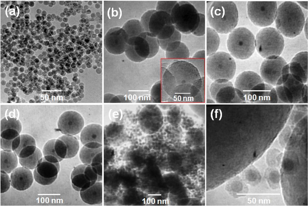 480 Eue-Soon Jang Fig. 1. TEM images of (a) bare Fe 3O 4 and (b-f) Fe 3O 4/SiO 2 nanoparticles obtained from reactant solutions with different [1-octanol]: (b) 0.22 M, (c) 0.13 M, (d) 0.