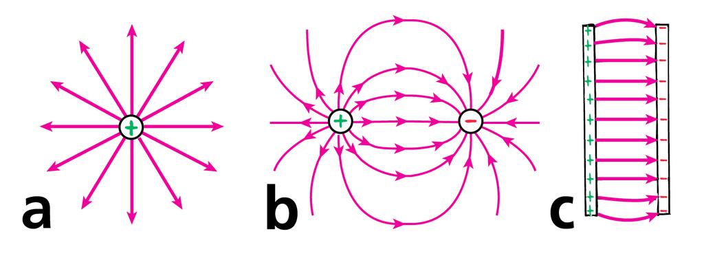33.2 Electric Field Lines a. The field lines around a single positive charge extend to infinity. b.