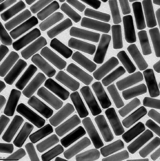 36 4.1.3 Gold nanorods The special shape of Au NRs provides it with unique optical, electrical and conductive properties [96] (Figure 4-9). Figure 4-9. TEM image of 25 nm diameter Au NRs.