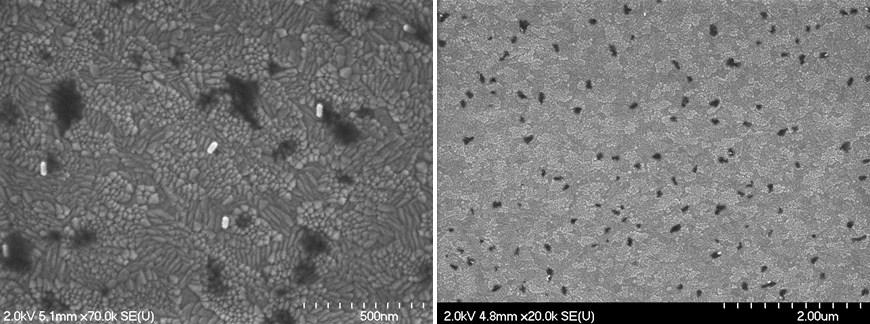 61 Figure 6-8. SEM micrographs of Au NRs deposited on ITO substrate. The light gray ellipsoids represent the MNPs.