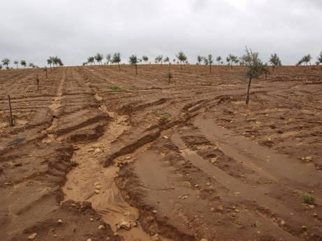 Soil erosion and carbon cycle Importance of current soil erosion for