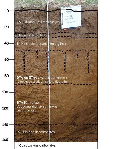 Soils in Earth System Models How much do we know about soils on a global scale and a