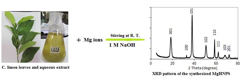 Biosynthesis, characterization, and optical properties of magnesium hydroxide and oxide nanoflakes using Citrus limon leaf extract Akl M. Awwad*, Ahmad L.