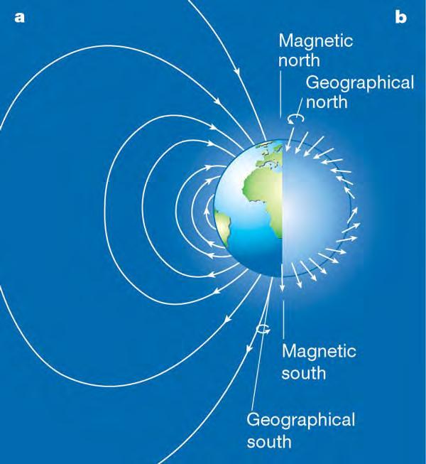 NB difference in magnetic declinations Magnetic Declination Paleo-Magnetic Inclination 1 2
