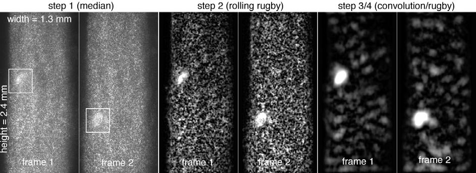 Original Trace Background Intensity Particle Rolling Rugby Figure 3 Intensity profile across the waterjet with rolling ball background The remedy to this problem was to use an ellipsoid (= "rugby