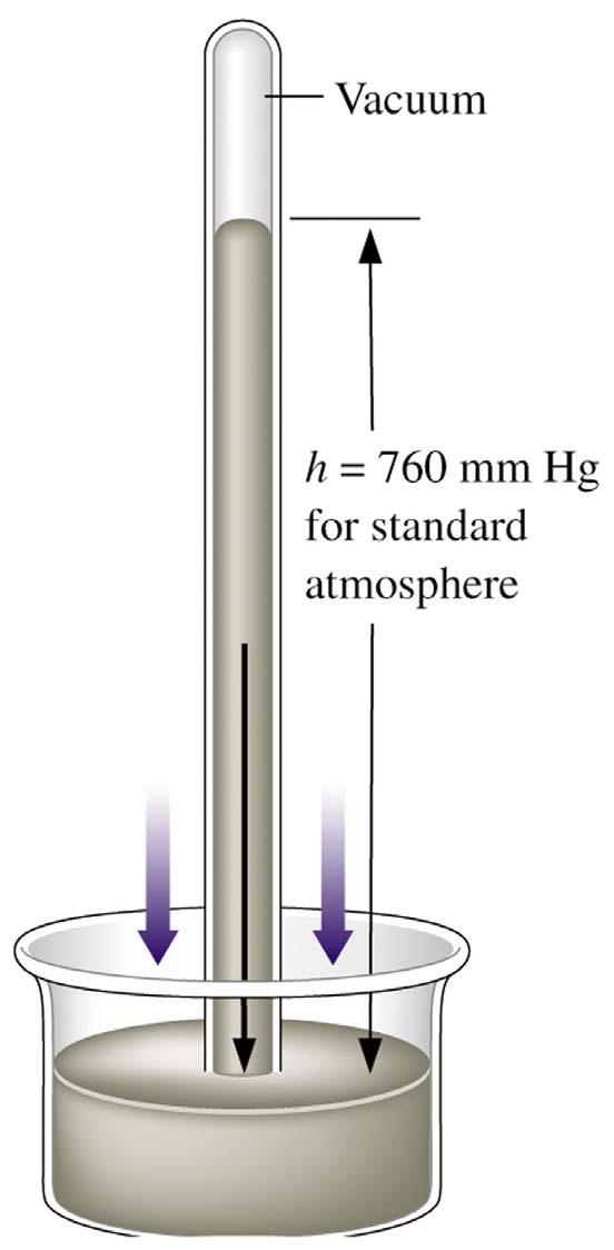 Figure 5.1: A Torricellian barometer. Density of Mercury = 13.