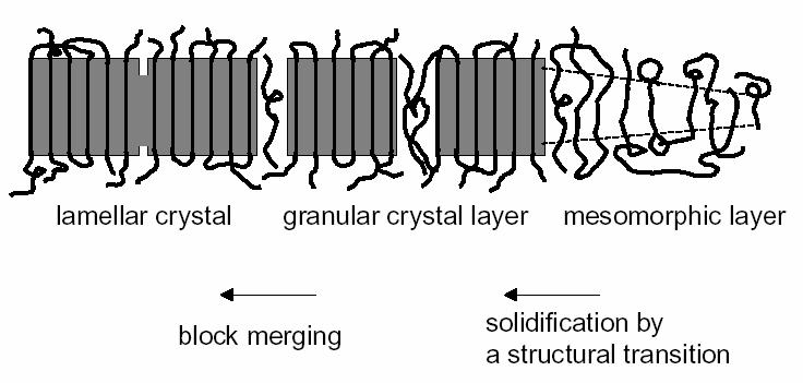Polymer crystallization: possible scenarios reeling-in, adjacent re-entry solidification model, fringed micelles,