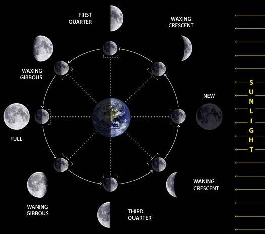 Moon s motion relative to