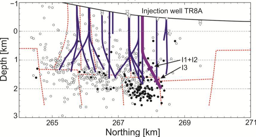 Results of monitoring Whole dataset During injection into TR8A 581 events recorded in 16 months (2002 2004) including 3 stimulations of TR8A