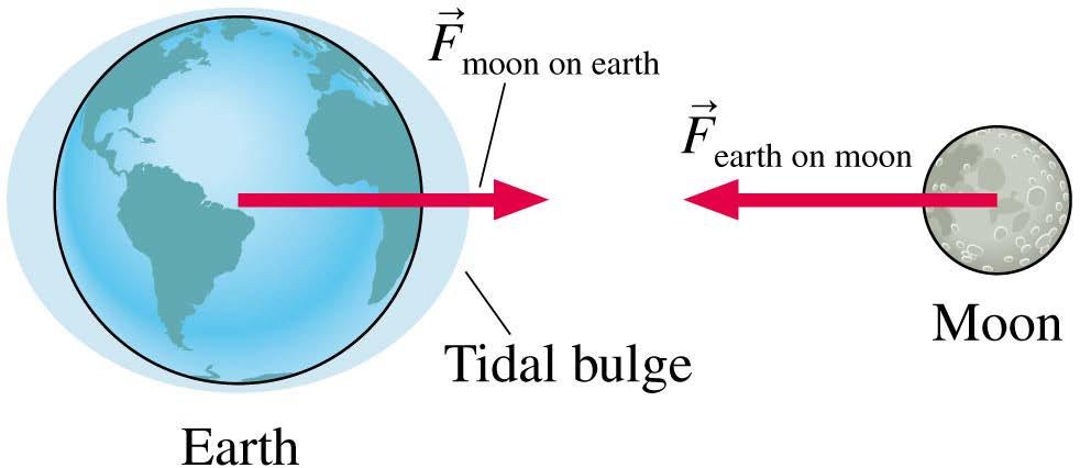 Interacting Objects Long-range forces, such as gravity, also come in pairs. If you release a ball, it falls because the earth s gravity exerts a downward force.