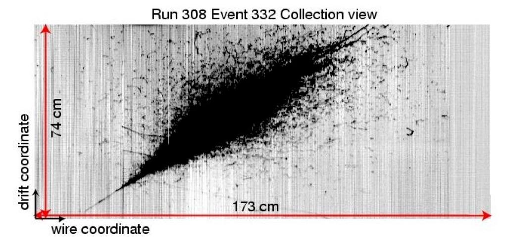 The CMS figure shows simulated events.