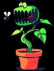 Phototropism- plant grows or moves in response to light Gravitropism- plant grows or moves in response to gravity; also