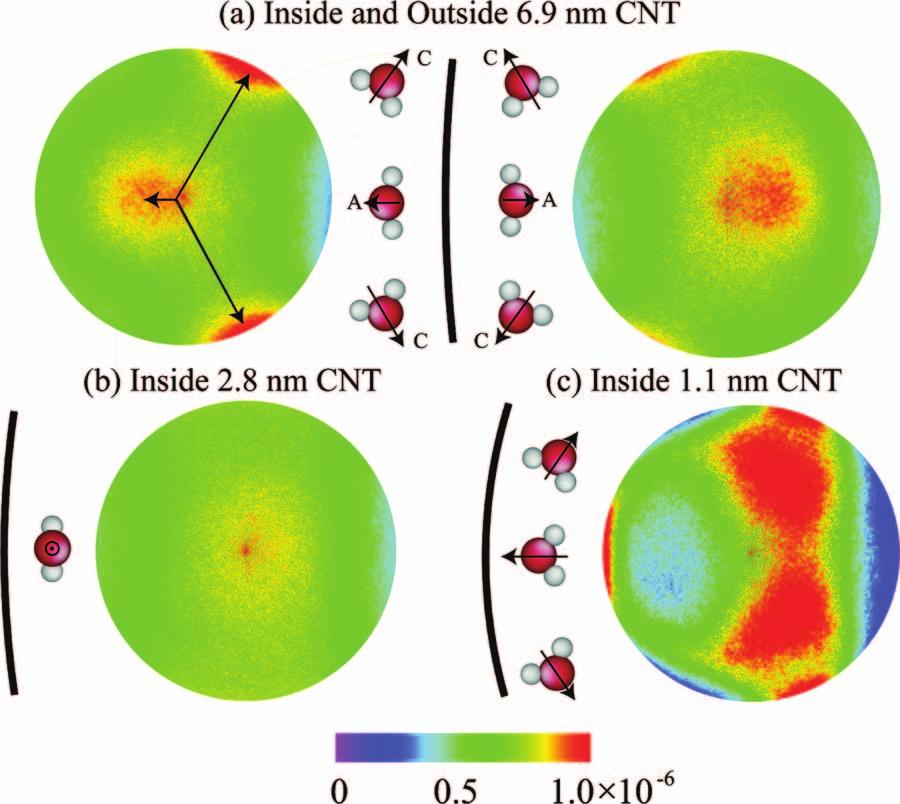 084715-5 Water inside and outside carbon nanotubes J. Chem. Phys. 128, 084715 2008 form mass distribution agrees with the dynamic force microscopy measurements of Ashino et al.