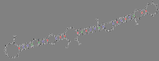 RNA bioinformatics 11 http://prion.bchs.uh.