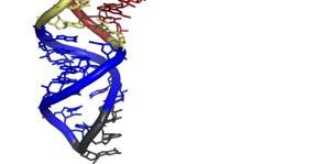 double-stranded helix Prediction of RNA 3D structure is very difficult and RNA