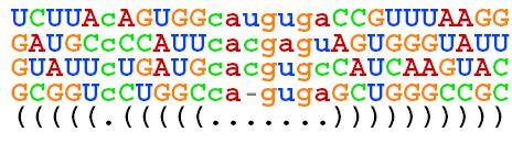 RNA bioinformatics 29 Protein vs RNA identification Protein RNA
