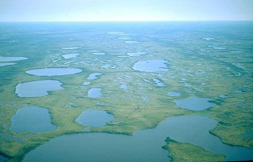 Hudson Bay- Arc;c Lowlands The Northern regions of Canada are