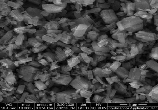 4 P.Kr. Tripathi et al. Figure 3. SEM images of ZnO:Cu 2þ (8% Cu 2þ doped ZnO) nanoparticles. coated with conducting indium tin oxide (ITO) layers.