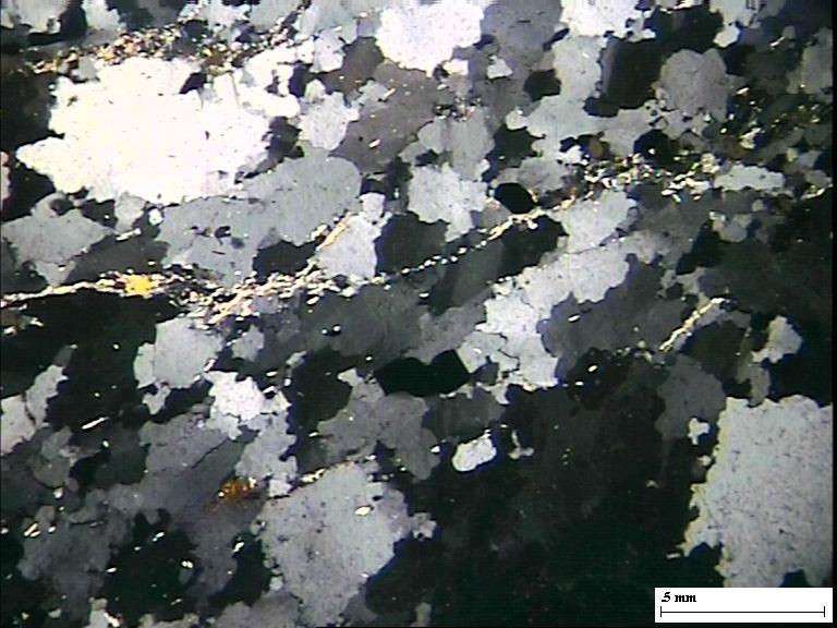 4(1) QPC from Brahmni River Section, West of Bagiyabahal, Note elongated as well as subrounded qtz