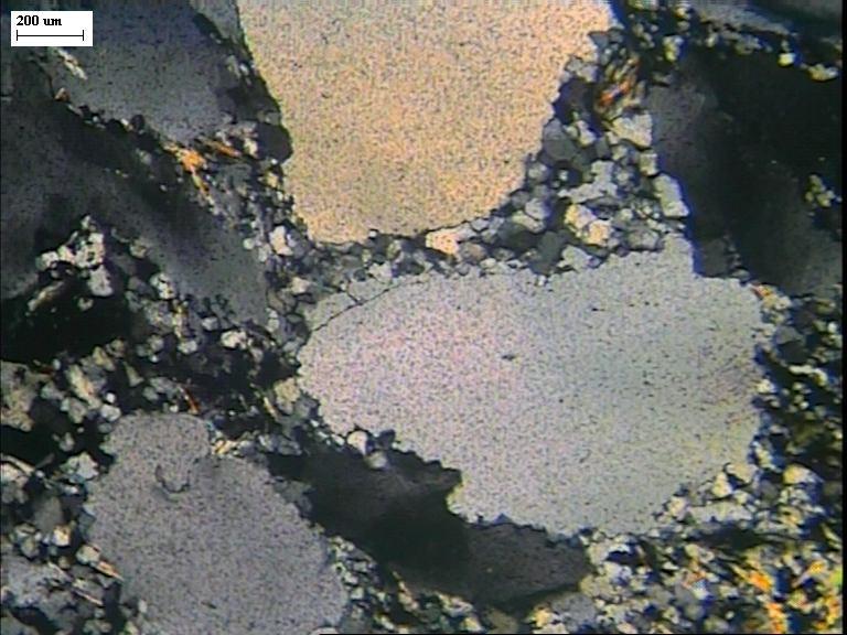 General view of conglomerate shows crude directional orientation of quartz pebbles with fine quartz (),