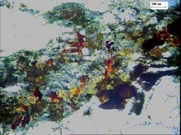 Fine sized chlorite flakes (Chl) as matrix around grain boundaries of quartz pebbles (), TL, air, 1N. Fig.6.4(10).