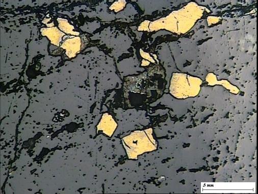 Rounded fractured magnetite grain(mt) in QPC