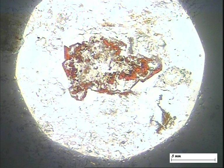 This is the first report of discrete uraninite grains in QPC from the study area and published in Kumar et al. (2012).