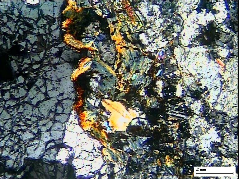 Few feldspar grains (Plg and Micrl) are also seen TL, air, 2N. Fig.6.1(10). Bonai granite from Dahichor area, Sundergarh dist of Orissa showing alteration of biotite (Biot) into chlorite (Chl).