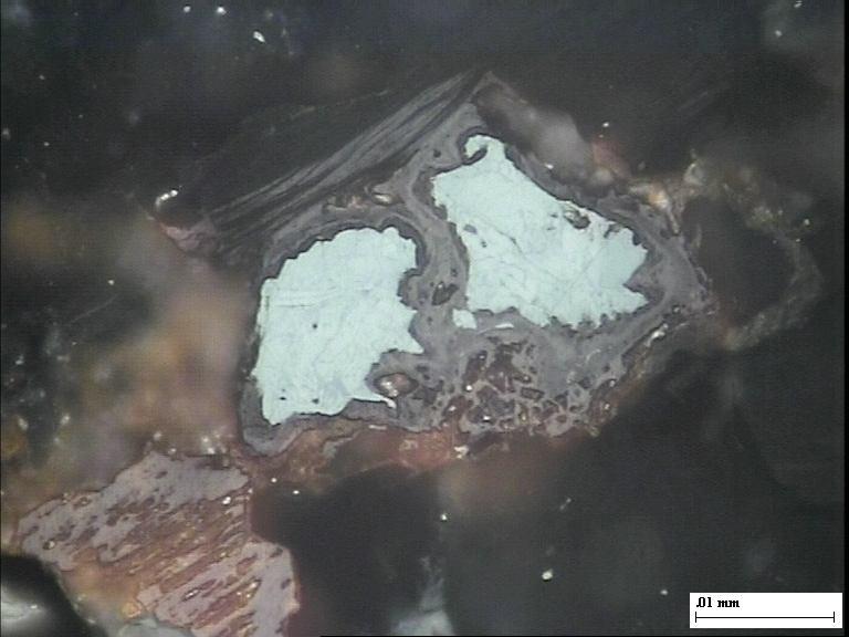 6.1(14). Biotite in Bonai granite conataining inclusions of epidote (Epi).