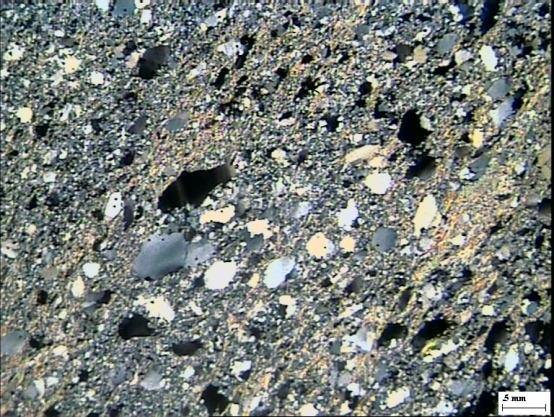 sphene, zircon, and magnetite. The rock show clastic to foliated nature. The quartz grains are sub-angular to elongated, deformed showing moderate to strong undulose extinction at places.