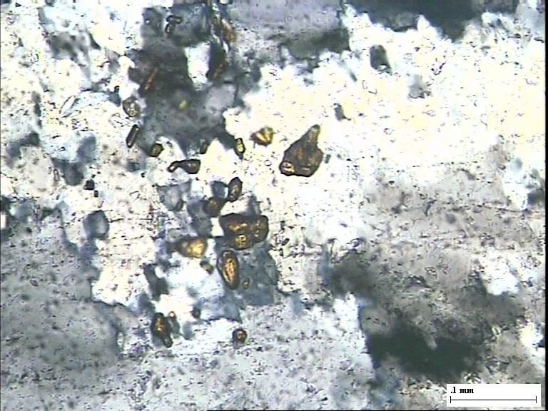 Rounded zircon grain in matrix part of IOG quartzite, Siyalkudar area, Sundergarh district, Orissa.. TL air, 2N. Zir Sph Seri Cpy Fig. 6.2 (7).