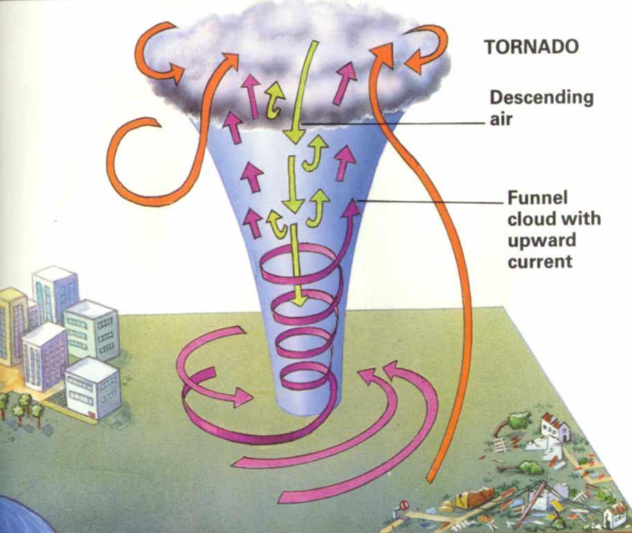 Tornadoes Warm air begins to rotate
