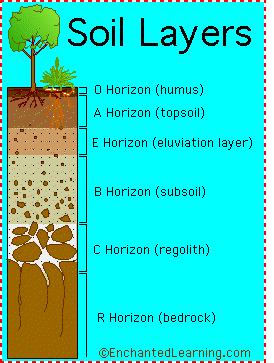 Soil Properties, continued 2 Soil Fertility A soil s ability to hold nutrients and to supply nutrients to a plant is described as soil fertility.