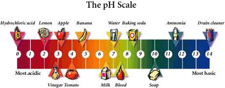 The ph of water is neutral