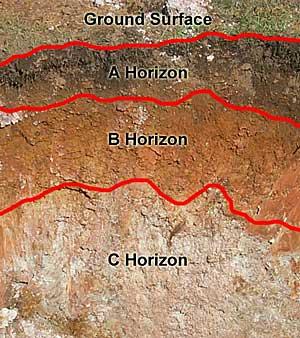Soil Horizons A Horizon- Topsoil- Soil rich in humus and usually dark colored B